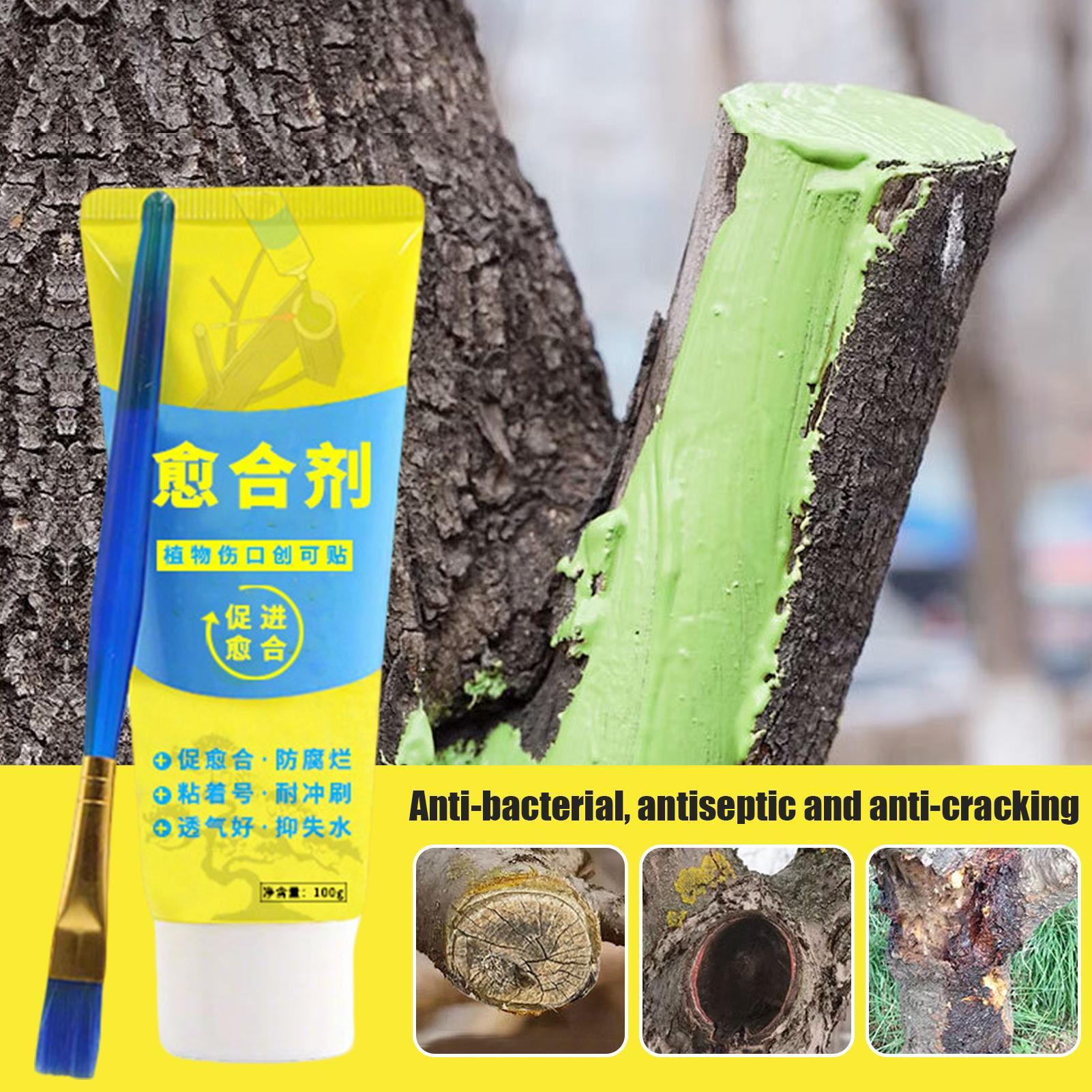Bonsai Garden Tree - 100g Tree Wound Bonsai Cut Paste