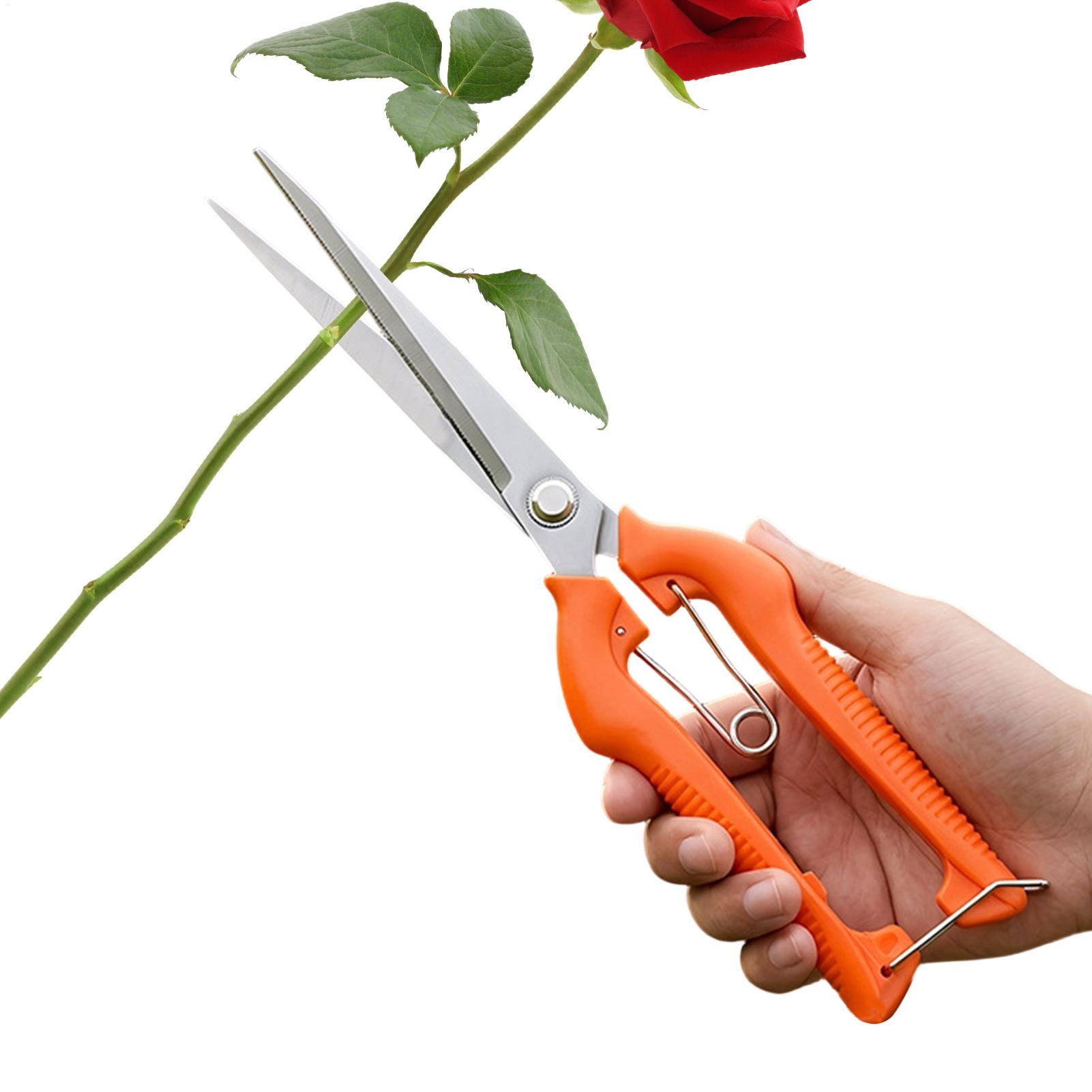 Bonsai Garden Rake - Pruning Shears Grape Scissors Garden Tool