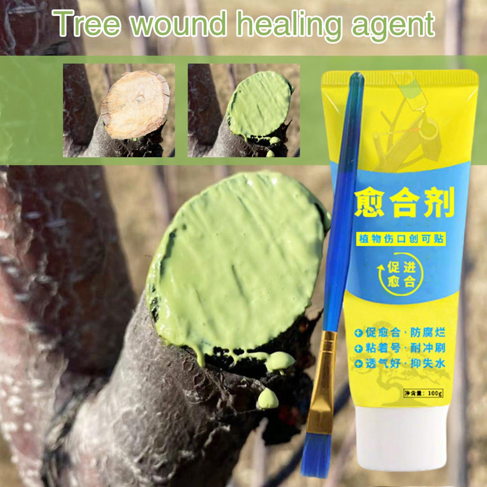 100g Tree Wound Bonsai Cut Pas - Bonsai Garden Tree recension och pris