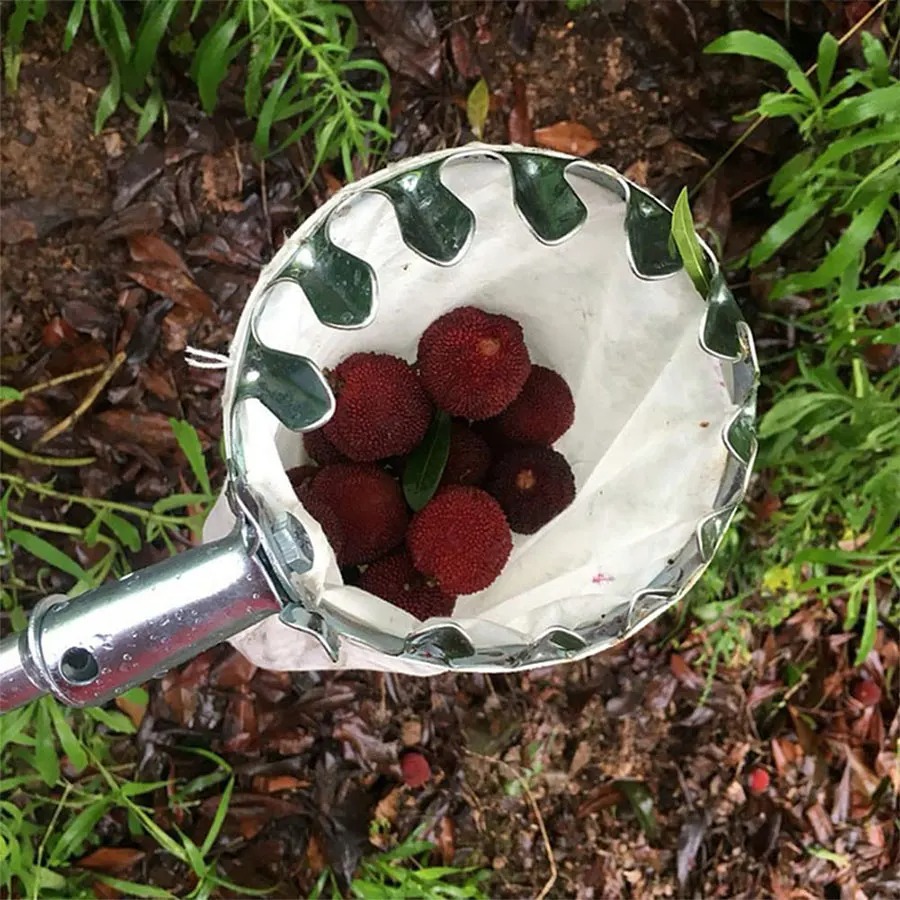 Adjustable Tree Collector Mult - Bonsai Garden Tree recension och pris