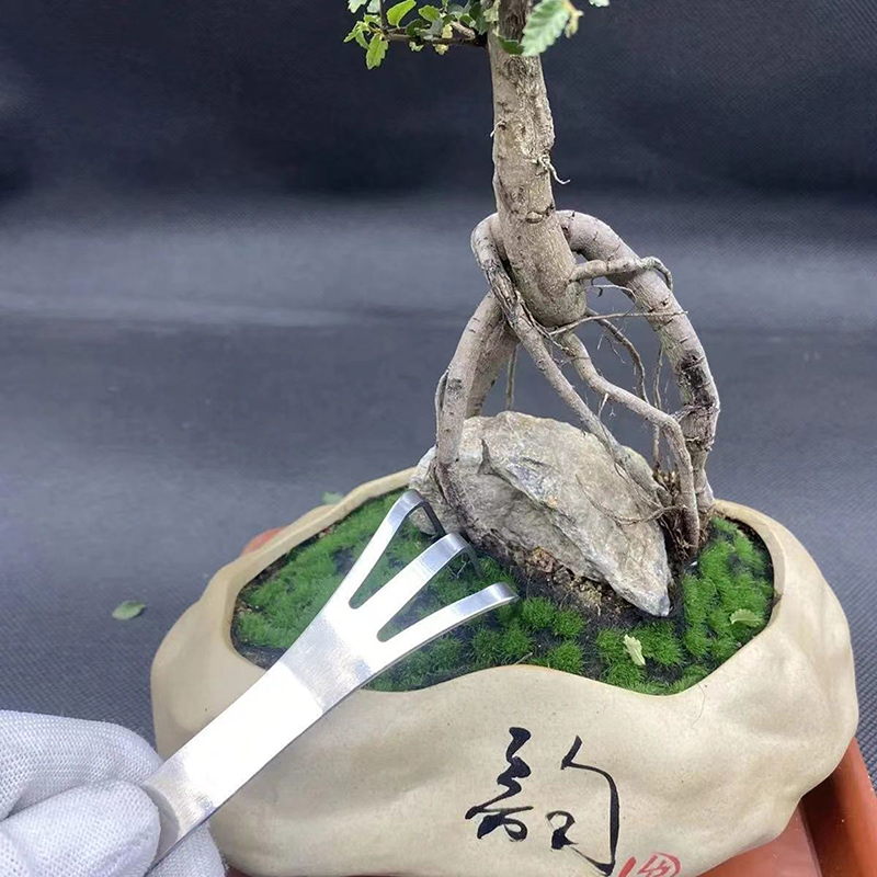 1Pc Stainless Steel Root Rake  - Bonsai Garden Rake recension och pris