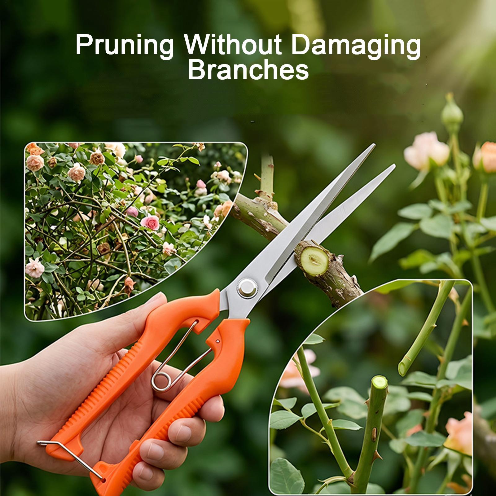 Pruning Shears Grape Scissors  - Bonsai Garden Rake recension och pris