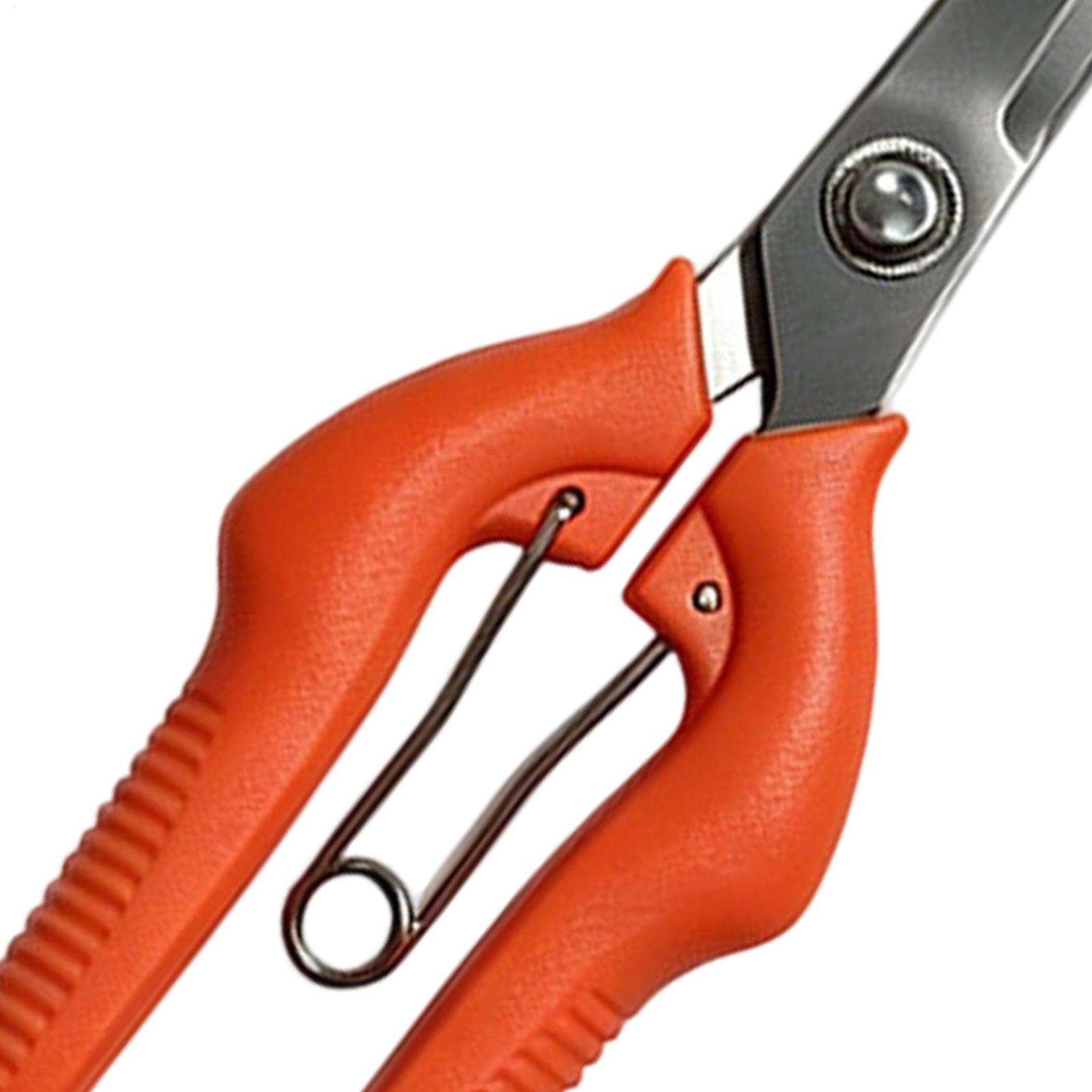 Pruning Shears Grape Scissors  - Bonsai Garden Rake recension och pris