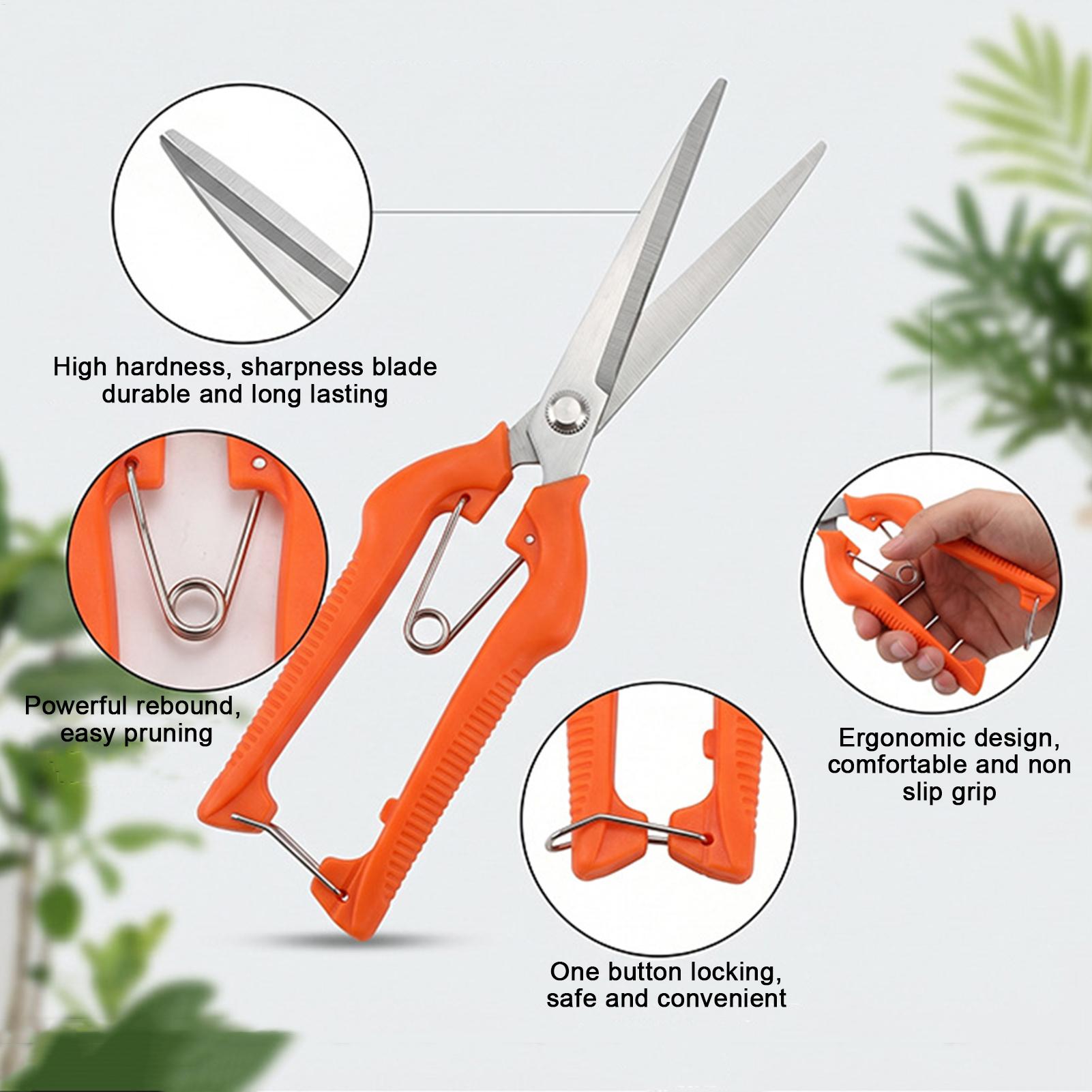Pruning Shears Grape Scissors  - Bonsai Garden Rake recension och pris