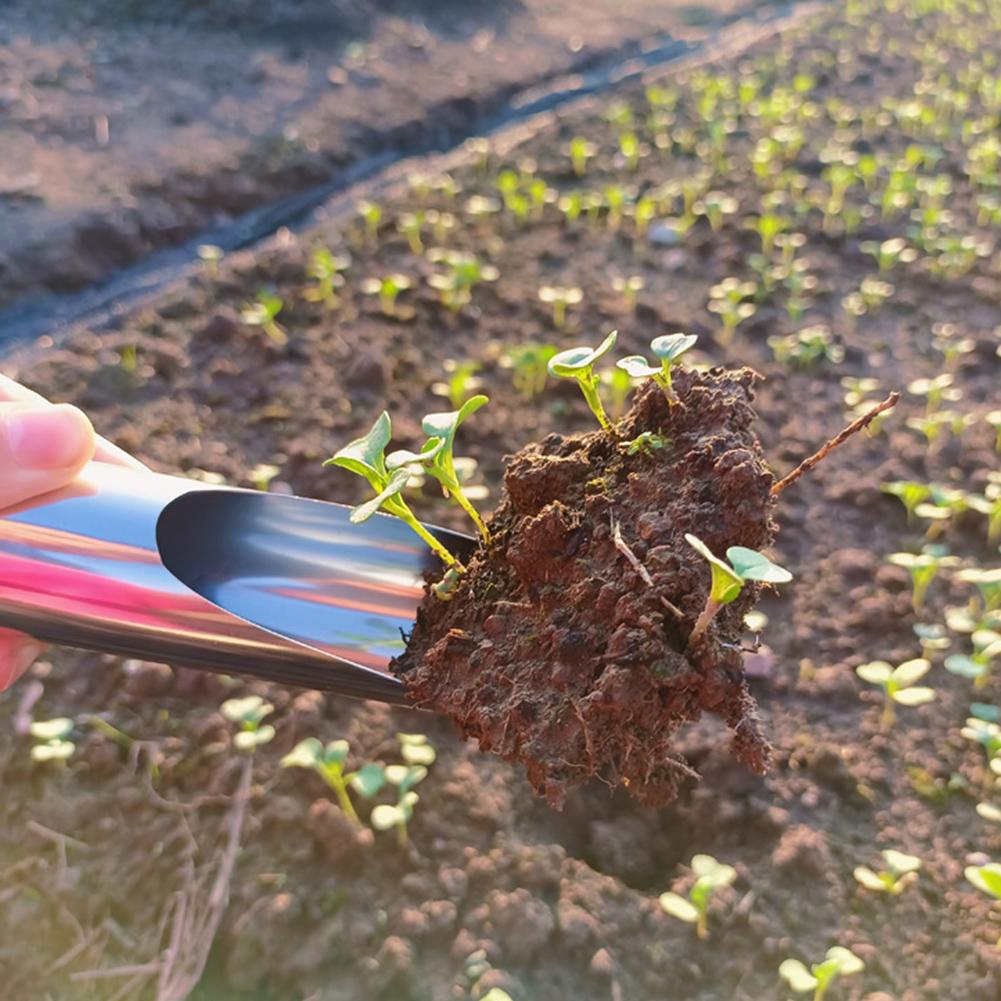Garden Bucket Tool Steel Garde - Bonsai Garden Rake recension och pris