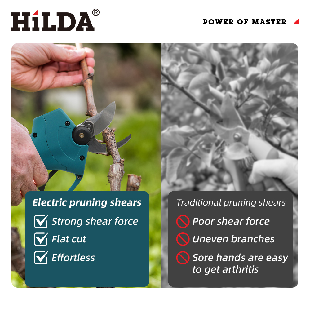 HILDA 18V Brushless Cordless E - Bonsai Garden Tree recension och pris