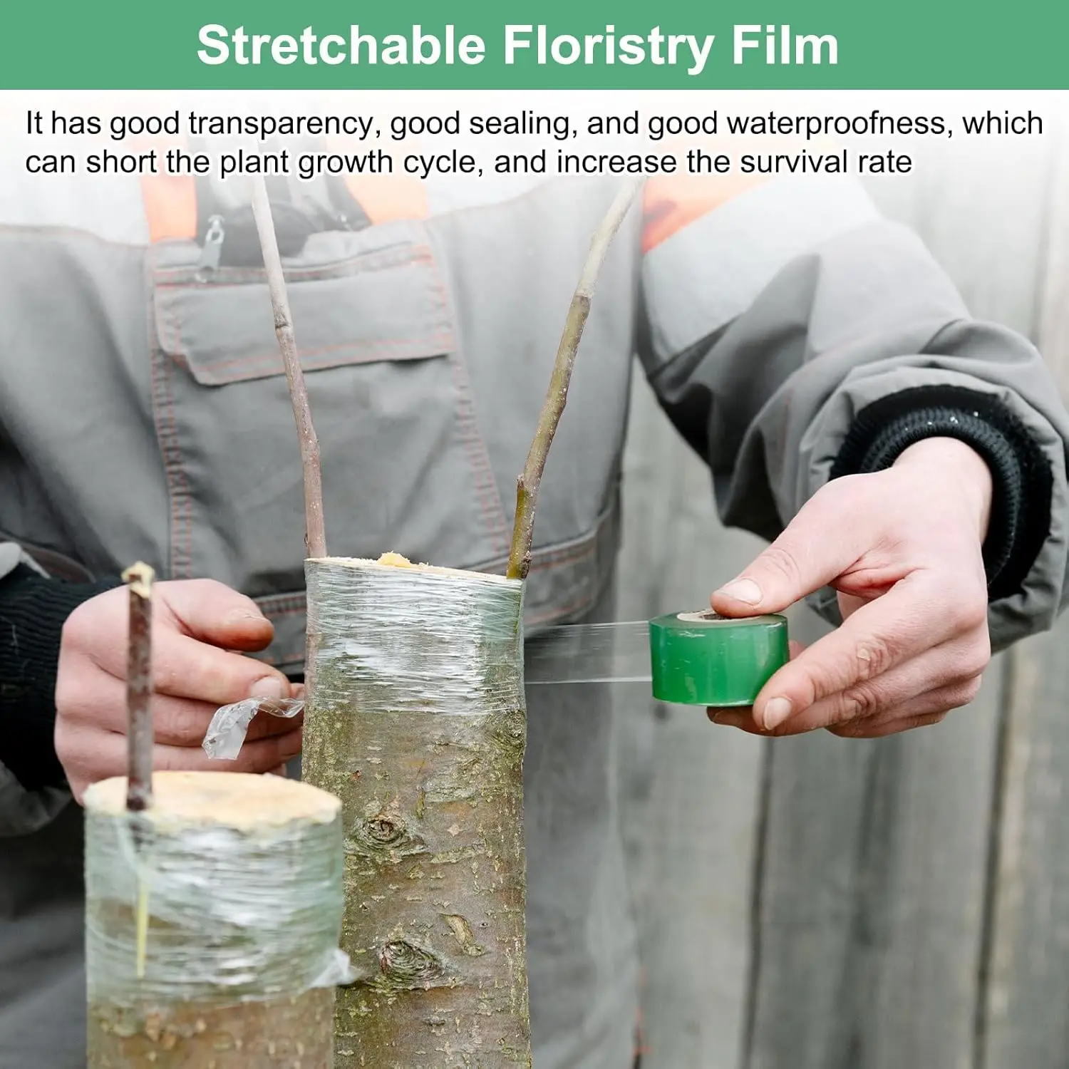 Self-adhesive PE Grafting Tape - Bonsai Garden Tree recension och pris