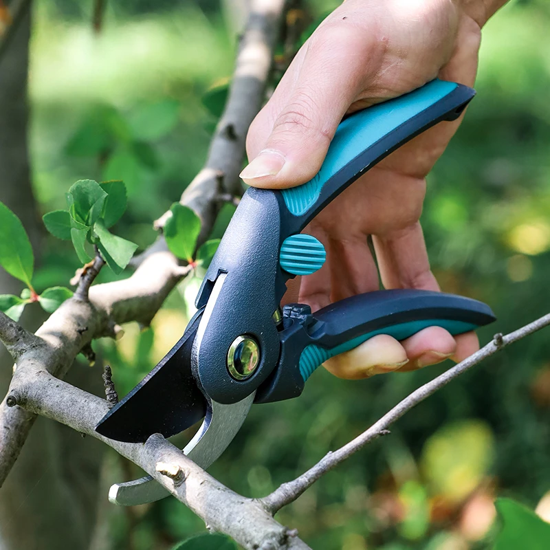 Pruning fruit trees, scissors, - Bonsai Garden Tree recension och pris