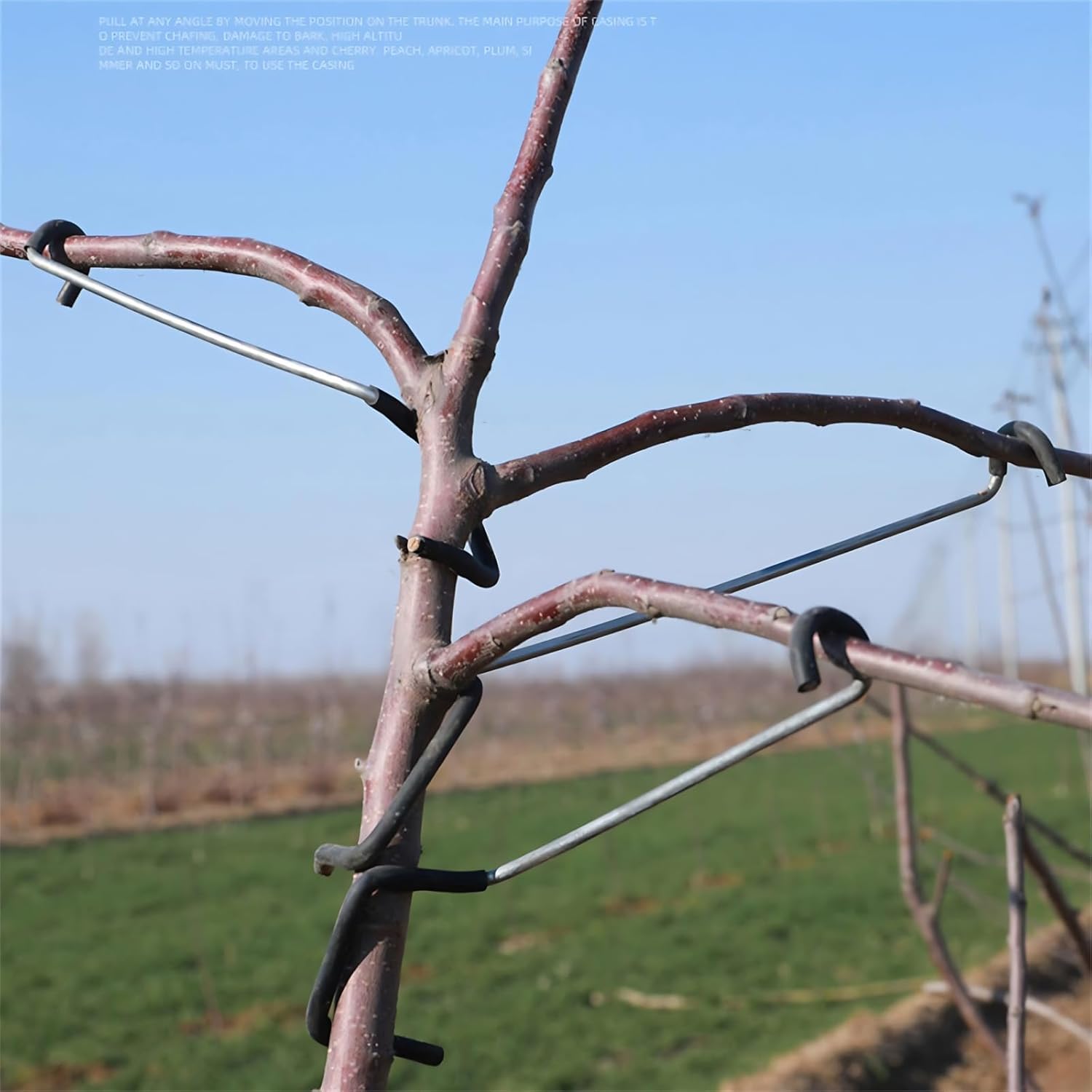 Adjustable Fruit Tree Branch S - Bonsai Garden Tree recension och pris