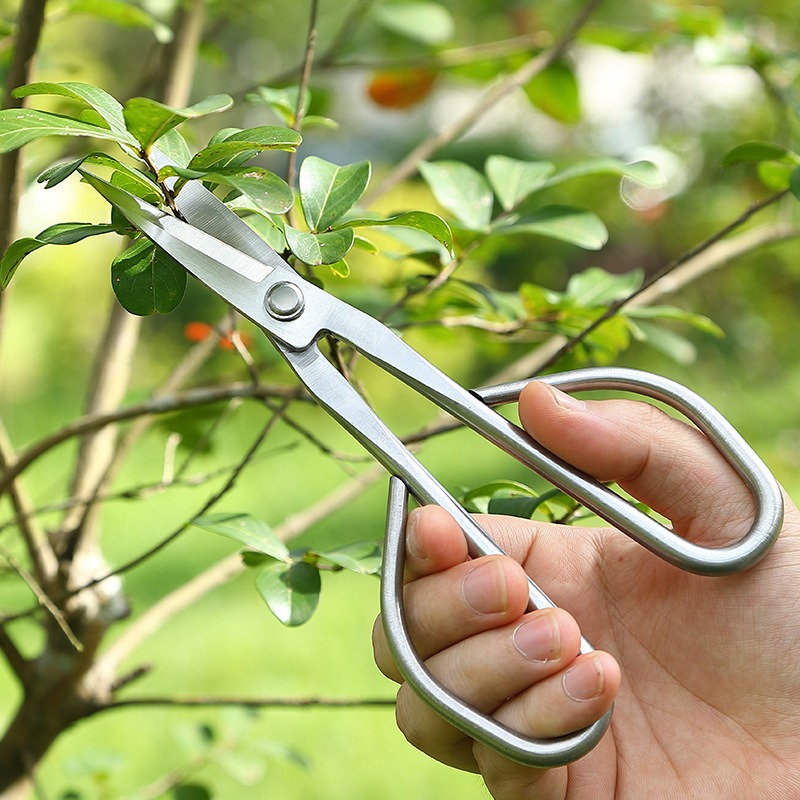 Tender Leaf Scissors Bonsai To - Bonsai Garden Rake recension och pris