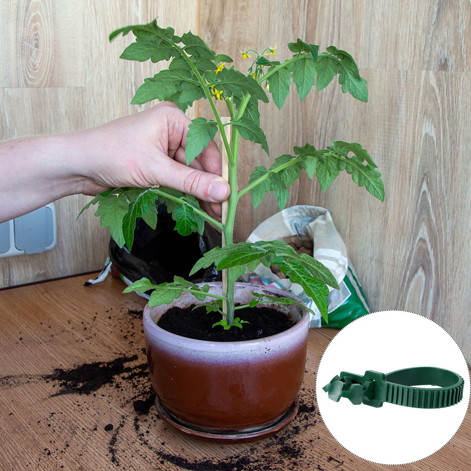 20Pcs Vine Fixing Buckle Plant - Bonsai Garden Tree recension och pris