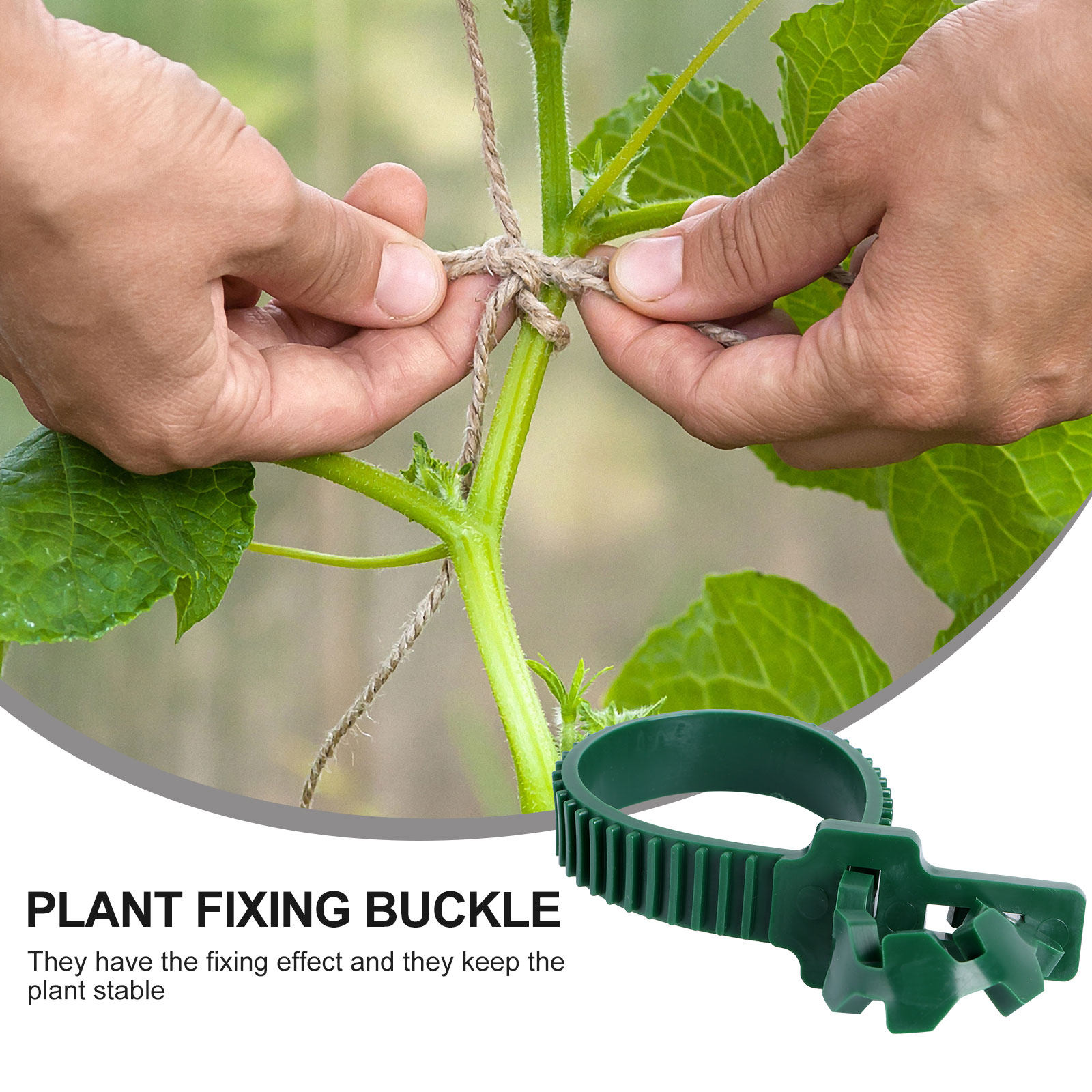 20Pcs Vine Fixing Buckle Plant - Bonsai Garden Tree recension och pris