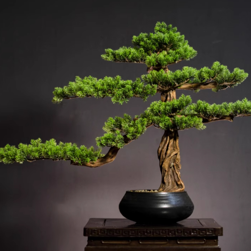 Home Welcoming Pine Ornaments  - Bonsai Garden Entrance recension och pris