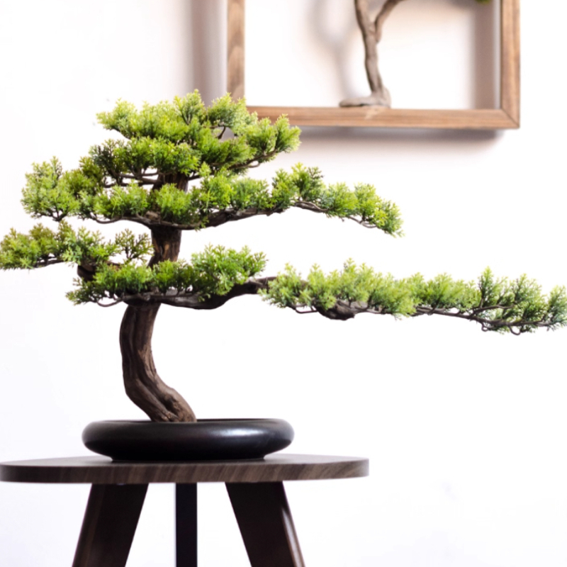 Home Welcoming Pine Ornaments  - Bonsai Garden Entrance recension och pris