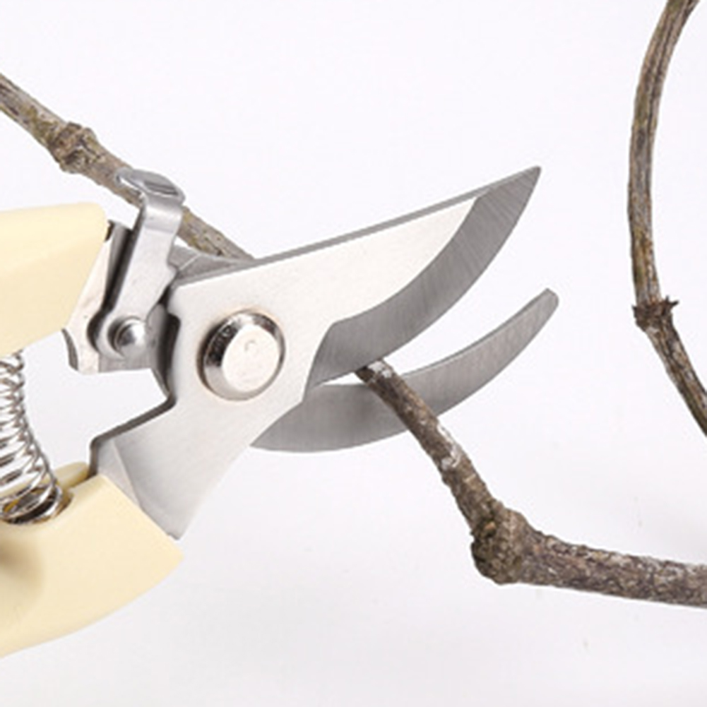 Pruner Shears Hand Tools Bonsa - Bonsai Garden Rake recension och pris