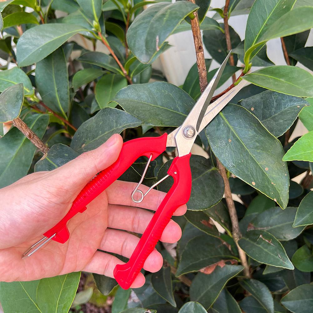 Pro Garden Pruning Shears Leng - Bonsai Garden Tree recension och pris
