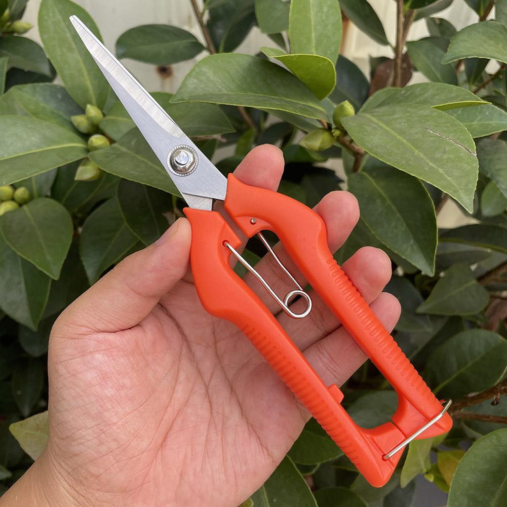 Pro Garden Pruning Shears Leng - Bonsai Garden Tree recension och pris