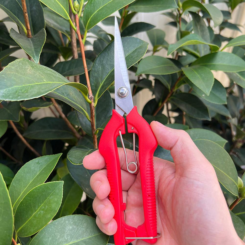 Pro Garden Pruning Shears Leng - Bonsai Garden Tree recension och pris